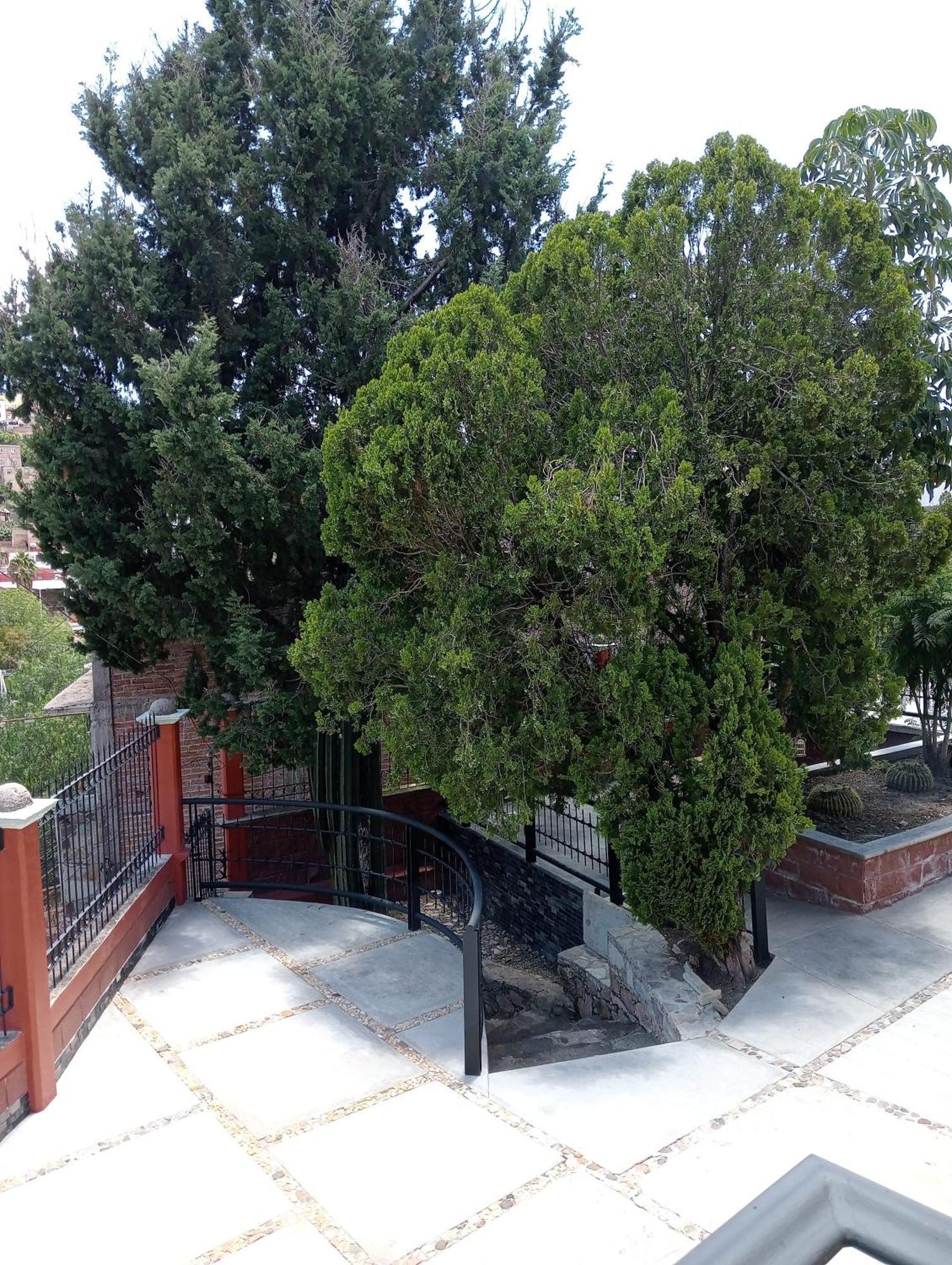 Quinta Mercedes Guanajuato Kültér fotó