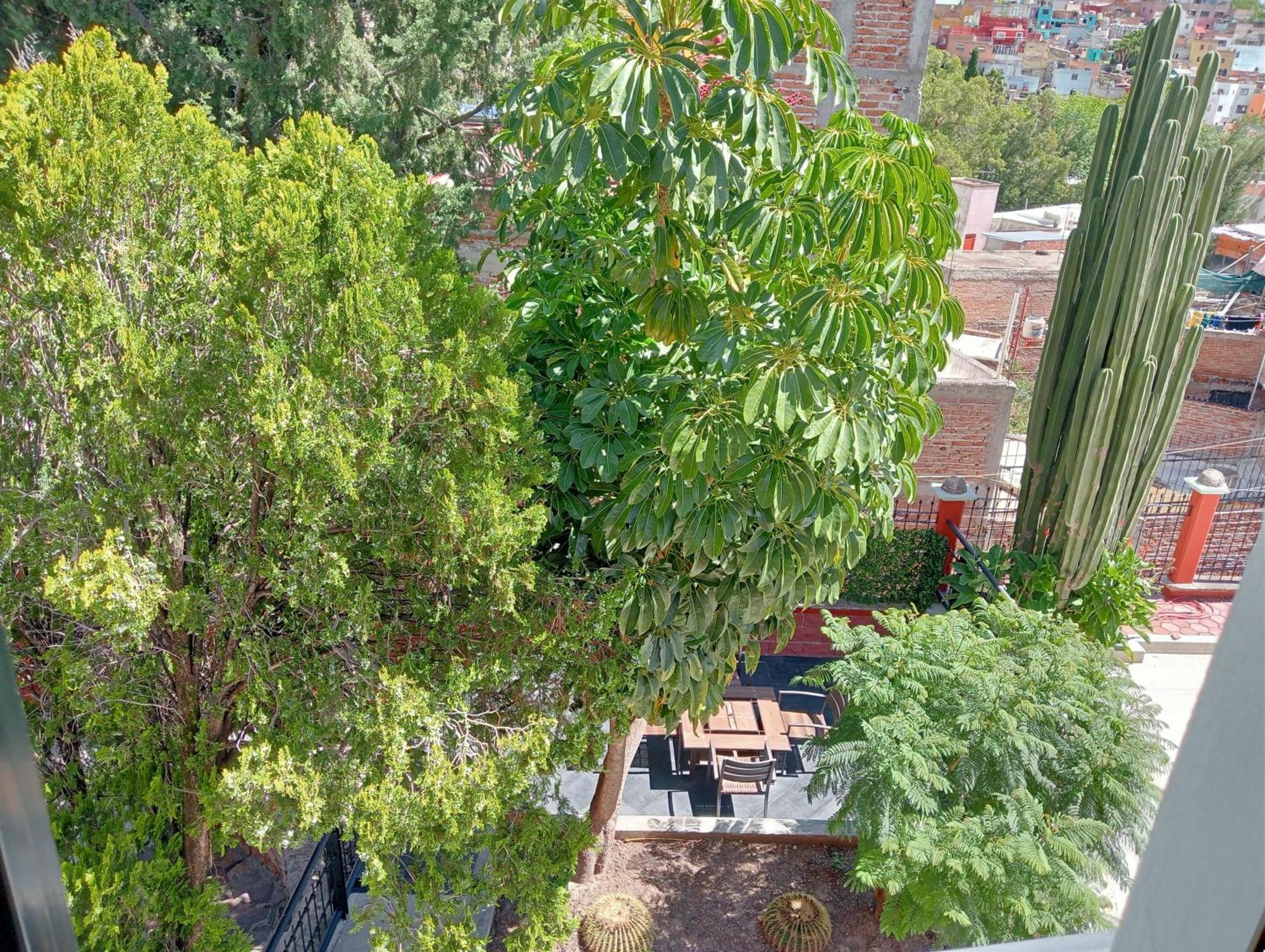 Quinta Mercedes Guanajuato Kültér fotó
