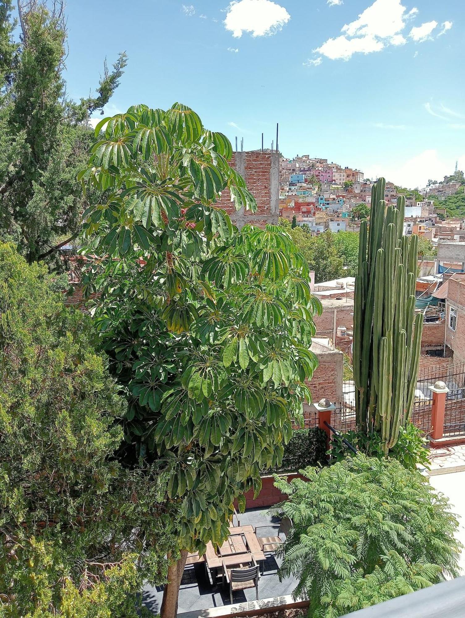 Quinta Mercedes Guanajuato Kültér fotó