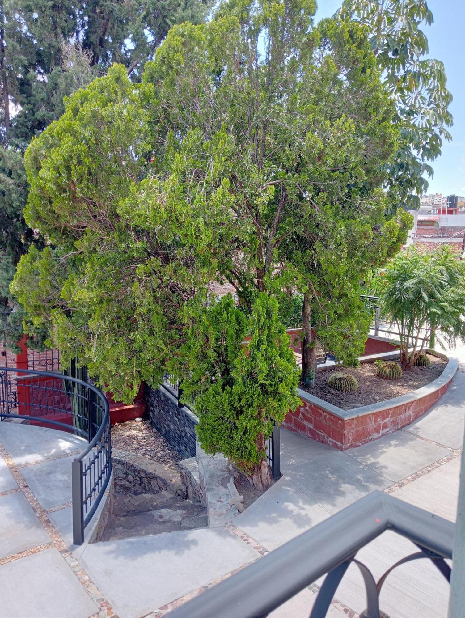 Quinta Mercedes Guanajuato Kültér fotó